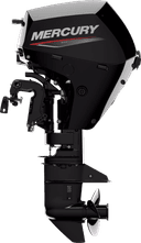 FourStroke 15