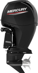 FourStroke 150