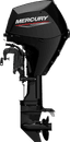 FourStroke 25