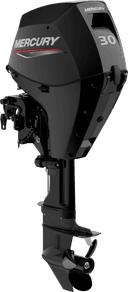FourStroke 30